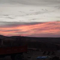 تراکتور ۲۸۵ تک مدل ۸۶