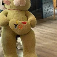 خرس یک و نیم متری