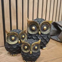 اکسسوری جغد