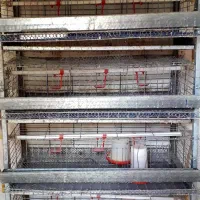 قفسه بزرگ بلدرچین