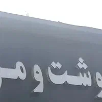 قصاب و بیخص کار و وسط کار