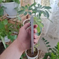 Iphone 15 promax|موبایل|نسیمشهر, |دیوار