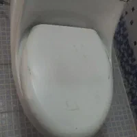 توالت فرنگی