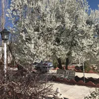 ۲۸۰۰ متر زمین ۲۰۰ متر بنا انشعابات کامل فاز یک