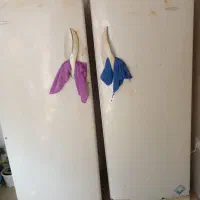 یخچال دو قلو|یخچال و فریزر|خشکبیجار, |دیوار