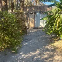 سویت کانکسی ۶۰متری خیابان جانبازان