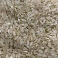 فروش۱۰۰کیلو برنج