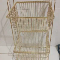 جاسیب زمینی