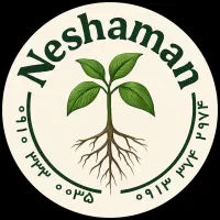 نشاء گوجه ۸۳۲۰