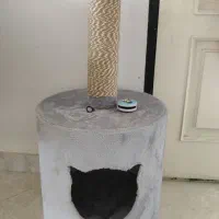 اسکرچر گربه