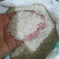 برنج ایرانی