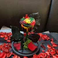 هدیه باکس گل رز جاودان طرح دیو و دلبر|گل و گیاه طبیعی|تهران, فردوسی|دیوار