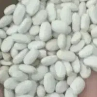 لوبیا سفید بوجاری شده، پایه بلند بذری