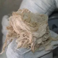 فروش پشم
