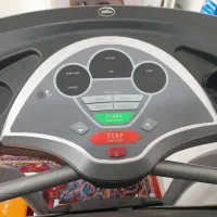 حراج واقعی به دلیل مهاجرت