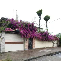 ویلای-ساحلی-100-متری