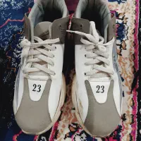 کفش مردونه|کیف، کفش، کمربند|کارون, |دیوار