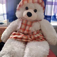 شاسخین سفید درحد نو