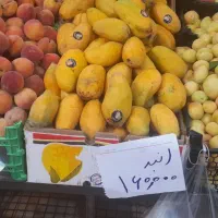 شاگرد میوه فروشی