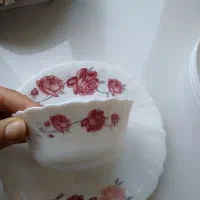 ظروف ارکوپال