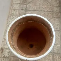 به علت کمبود جا|گل و گیاه طبیعی|نیشابور, شهرک اندیشه|دیوار