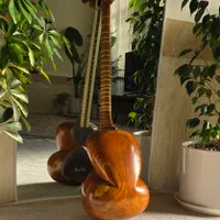 تار حرفه ای