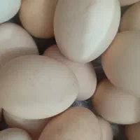 تخم مرغ محلی