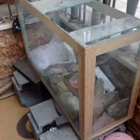 اکواریوم