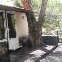 سویت باغی