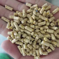 دانه پارس|عمده‌فروشی|آق قلا, |دیوار