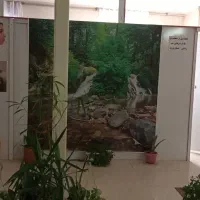 کلینیک طب سوزنی و فیزیوتراپی ماهور|خدمات آرایشگری و زیبایی|گلستان (تهران), |دیوار