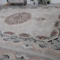 فرش آرا مشهد ۱۲ متری|فرش|آبیک, |دیوار