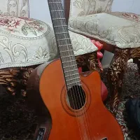 گیتارآریاak80پیکاپ دار|گیتار، بیس، امپلیفایر|کرمان, |دیوار