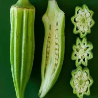 بامیه خشک|خوردنی و آشامیدنی|پیر سلیمان, |دیوار