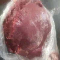 غذای سگ و گربه