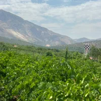 فروش باغ سیسخت