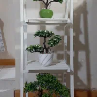 استندوگل