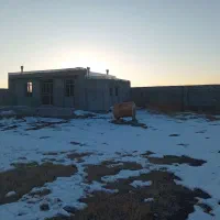 فروش دامداری صد راسی پرواربندی|فروش دفتر صنعتی، کشاورزی، تجاری|نوشین شهر, |دیوار