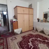 قالی .فرپیتزا
