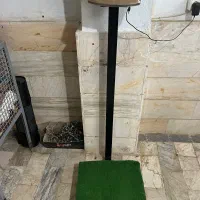 ترازو باشگاهی