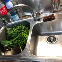 سینک ظرفشویی|مصالح و تجهیزات ساختمان|تهران, سلسبیل شمالی|دیوار