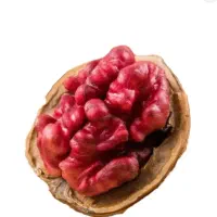 گردو لیورمور|خدمات باغبانی و درختکاری|قره ضیاالدین, |دیوار