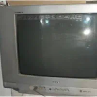 تی وی فروخته شده،فقط گلها فروشی