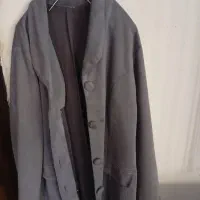 پالتو رایگان