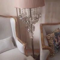یک جفت اباژور کنار سالنی