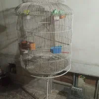 قفس طوطی و کاسکو