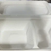 ظرف غذا یکبار مصرف گیاهی