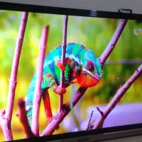 ۴۳ اینچ اسنوا