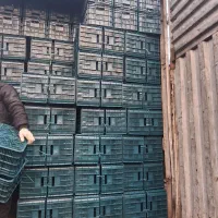 سبدفروشی جعفری سبد 20کیلویی 14 کیلویی وغیره...