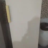 سلام فریزر ایستاده